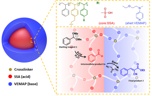 cartoon of core shell microparticles for cascade catalysis with acid catalyst in shell and base catalyst in core