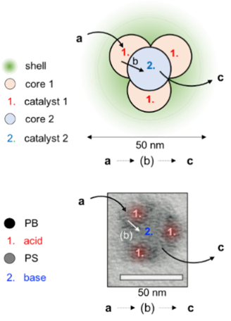 multicompartment nanoparticles with catalysts in core and compartments