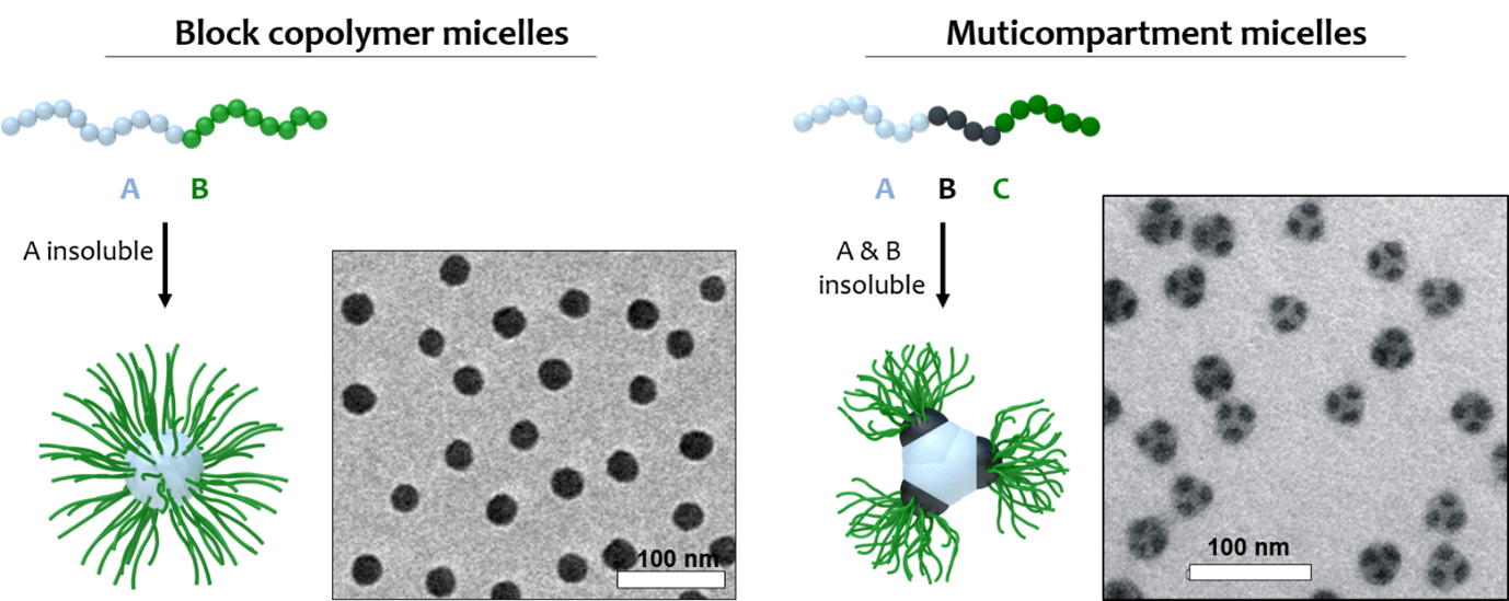 Image shows a comparison of the homogeneous core of regular micelles and the complex but highly ordered core of multicompartment micelles
